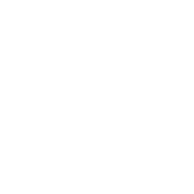 Z.AI